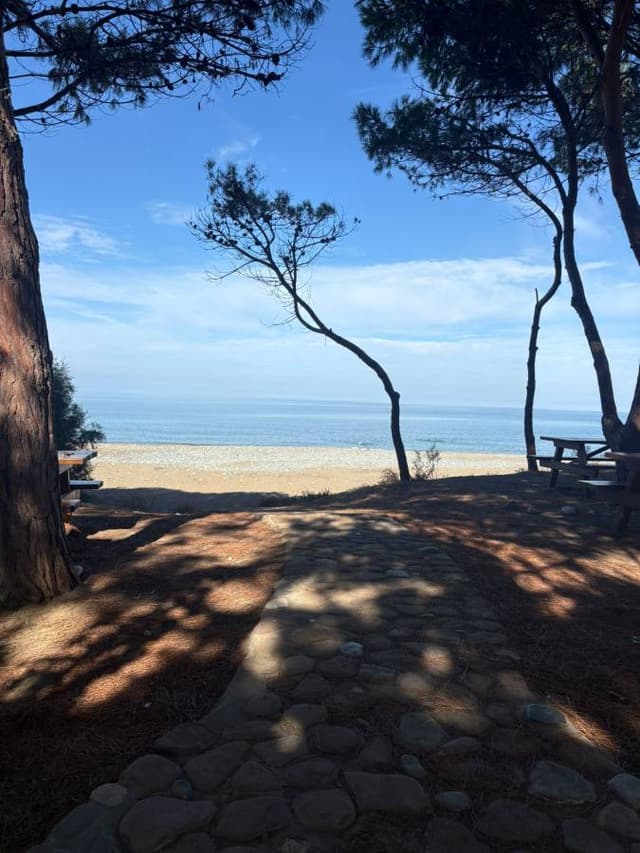 Photo 5 by Donald C. about hiring a Opel Zafira 5+2 at Paphos Airport (11/11/25)