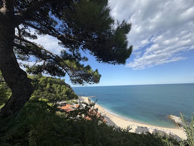 Photo 4 by Ian P. (10/7/25)