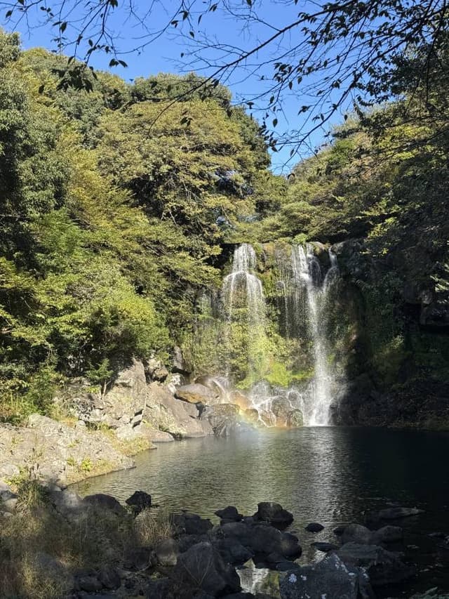 Photo 8 by Katarina L. (11/13/25)