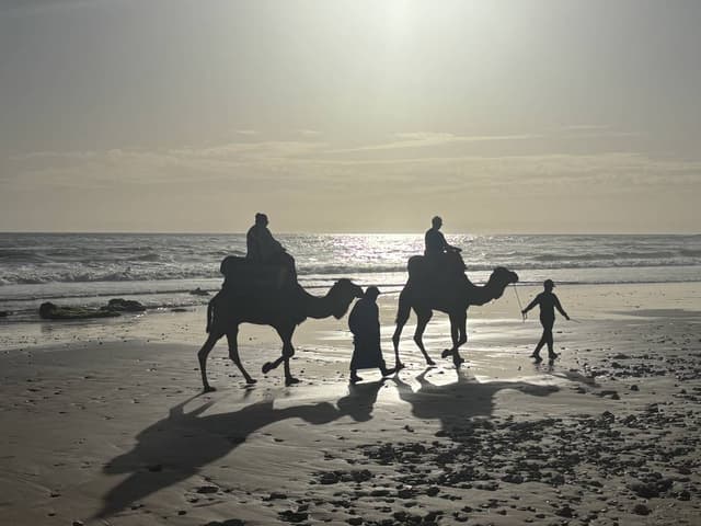 Photo 7 par Philippe D. (24/03/26)