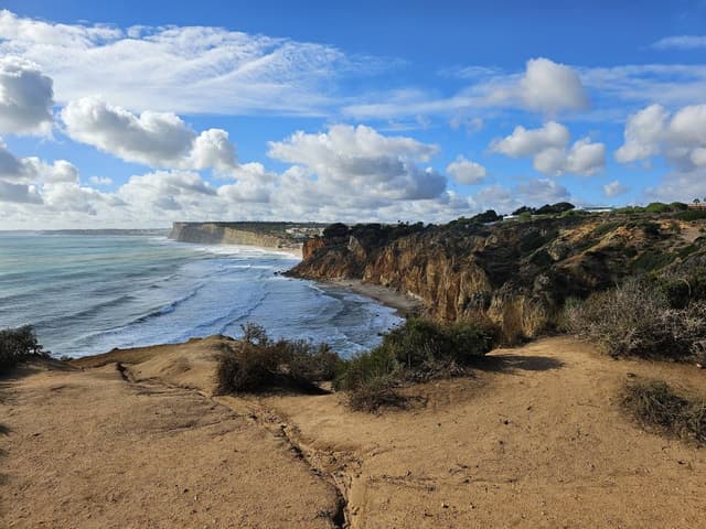 Photo 6 by Sylvia V. (11/5/25)