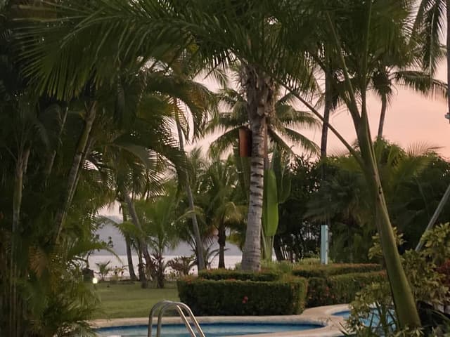 Photo 3 by Lynne C. about renting a Mitsubishi ASX at Liberia Airport (3/29/24)