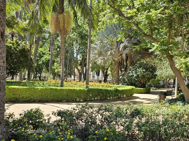 Sandor H. 2. számú fényképe (23. 06. 18.)