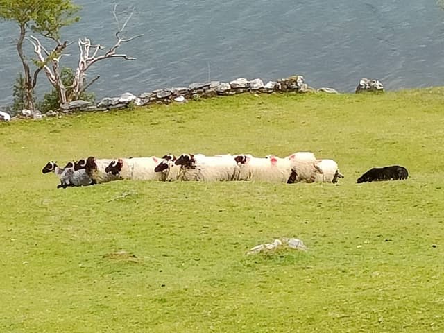 Photo 12 by Susan V. (5/18/26)