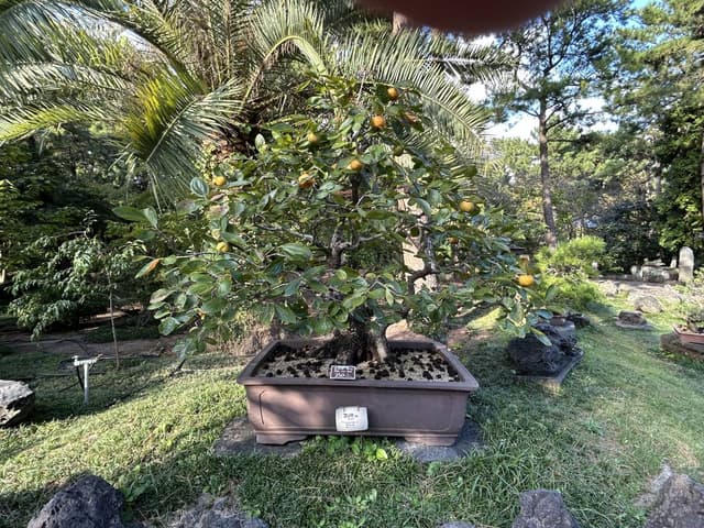 Photo 2 by Josephina G. (10/26/25)