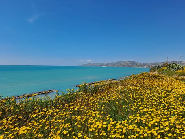 Foto, ko uzņēmis Maris T. (24.03.24.)