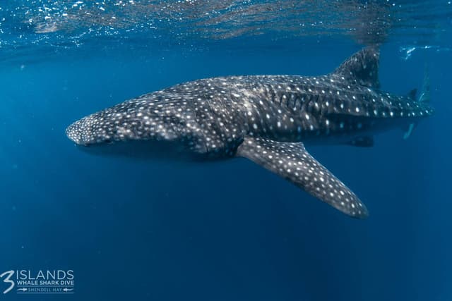 Photo 5 by Talya M. (5/5/23)