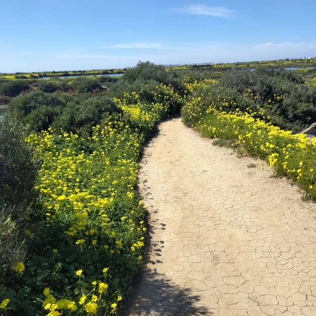 Photo 5 by Susan C. about hiring a Fiat Panda at Faro Airport (05/03/26)