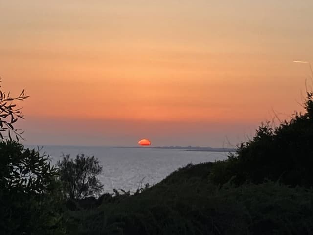 Photo 4 by Ian H. (5/6/26)