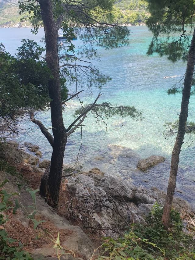 Photo 2 by Zorica S. about hiring a Citroen C1 at Dubrovnik Airport (05/08/23)