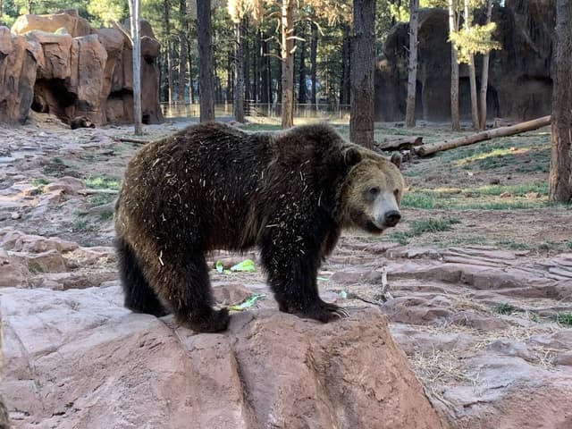 Photo 3 by Naomi H. (11/25/23)