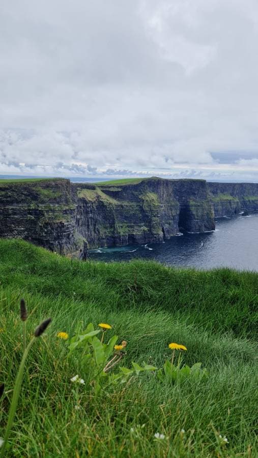 Photo 8 by Catalin C. about renting a Renault Clio in Dublin (5/11/24)