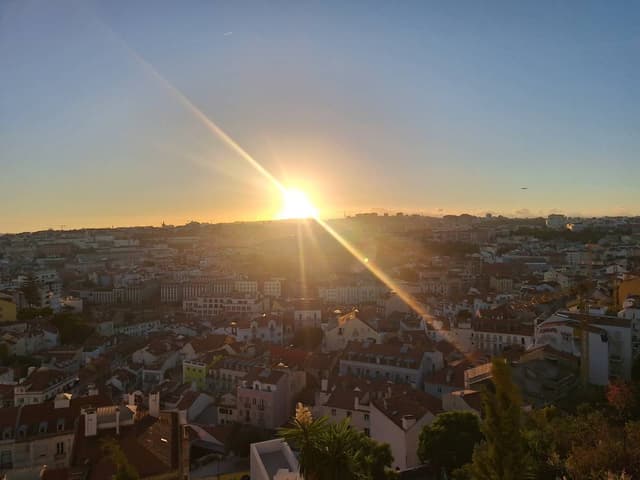 תמונה 4 מאת Ariela P. (6.9.25)