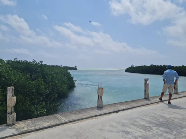 Photo by Julie Louise H. about hiring a Hyundai Creta in Cancún (14.04.24)