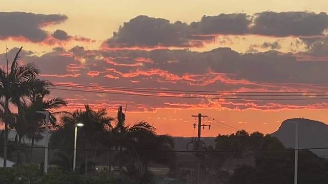 Photo 3 by Elizabeth S. (7/21/26)