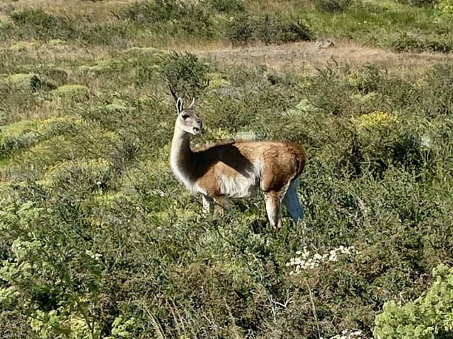 Foto 7 de Gabriela F. (30/1/26)