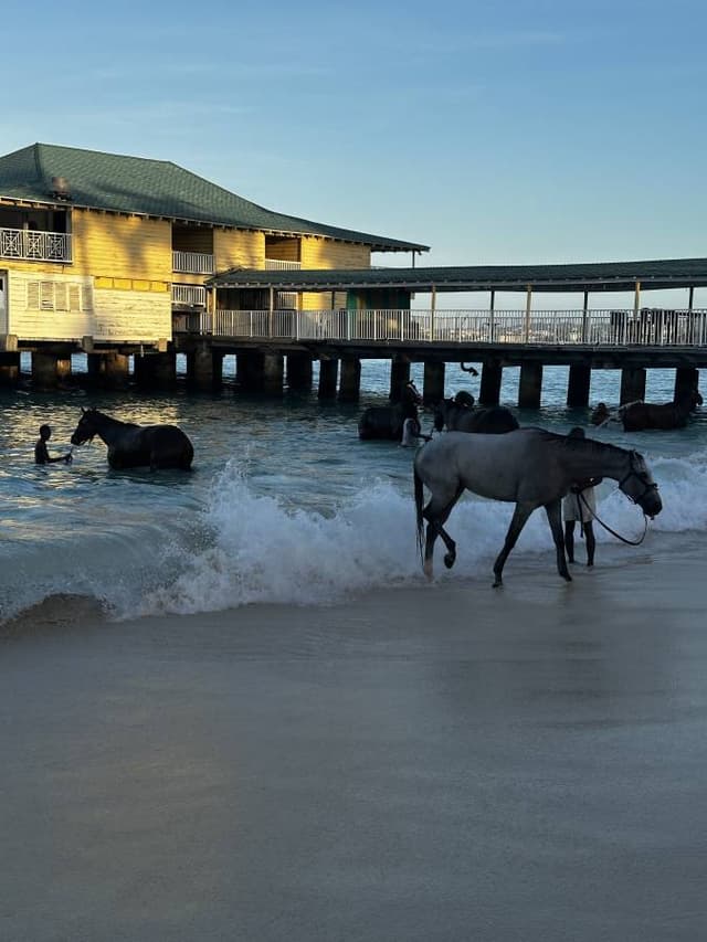 Photo 2 by Andrea L. about hiring a Suzuki Vitara at Bridgetown Airport (21/12/25)