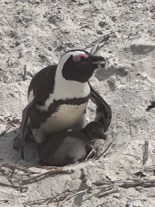 Photo 5 by Michael R. (3/28/26)