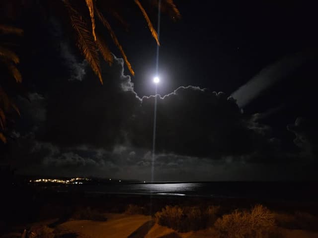 Photo 15 par Fouad A. (06/01/26)