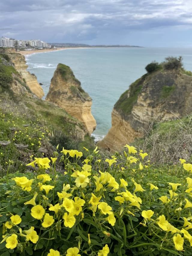 Photo 11 by William C. about renting a Renault Clio in Lisbon (3/15/25)