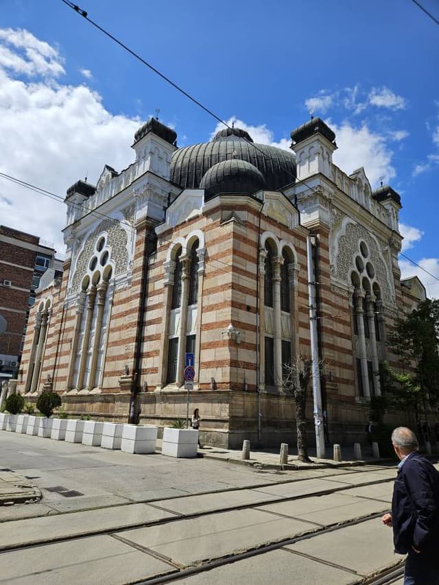 תמונה 5 מאת tzipora M. (22.5.25)