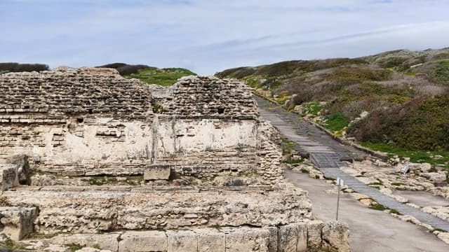Laszlo E. 6. számú fényképe (26. 03. 20.)