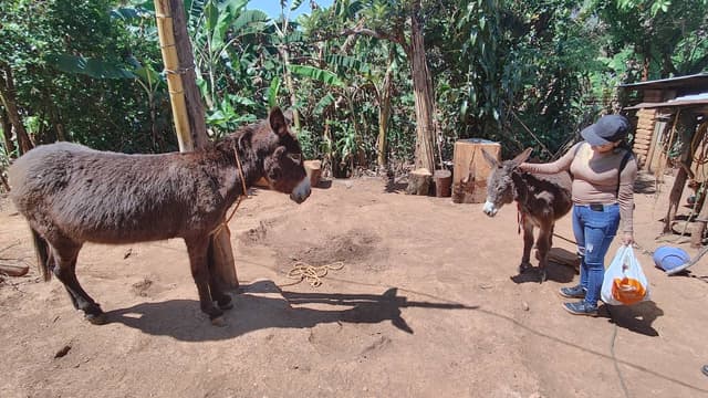 Foto 19 de Jose David R. (9/3/26)