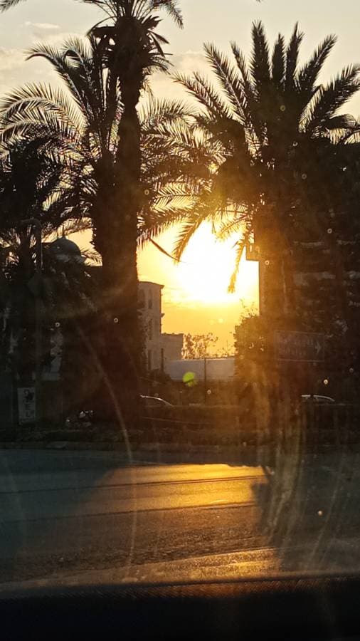 Photo by Mona K. (4/17/24)