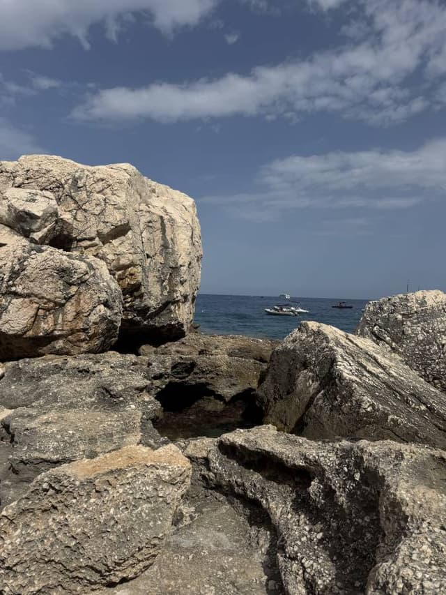 Fotografie realizată de Monica B. (14.09.25)