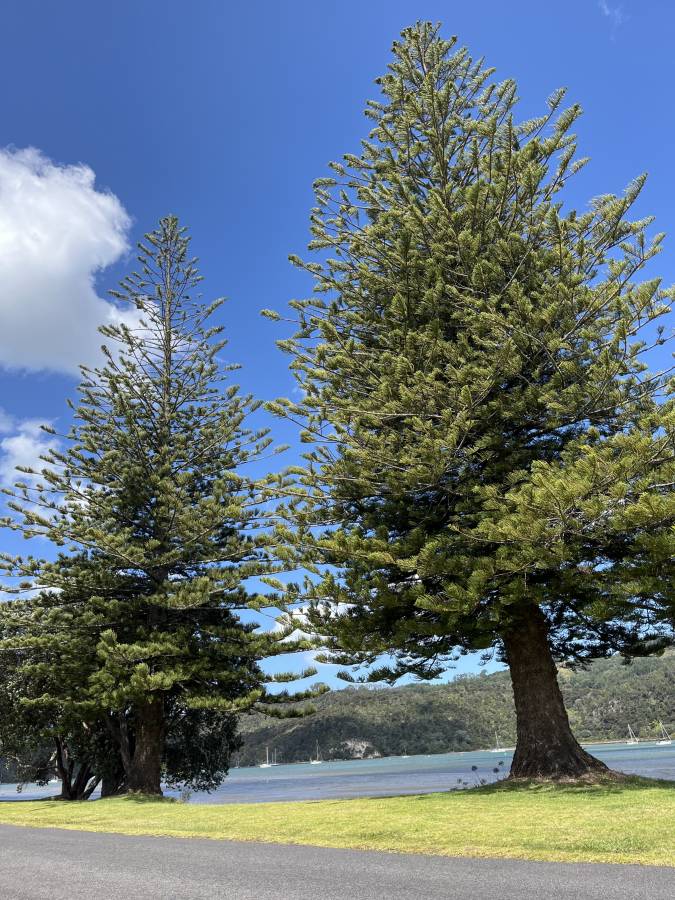 (25/1/19)のレンタルについて、Kuremi T. による写真 6