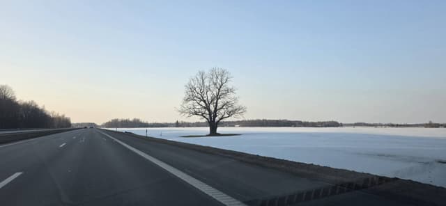 Фото от Edgar B. (24.03.26)