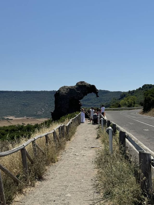 Photo 2 by Thalia D. about renting a Ford Kuga on Sardinia (8/2/24)