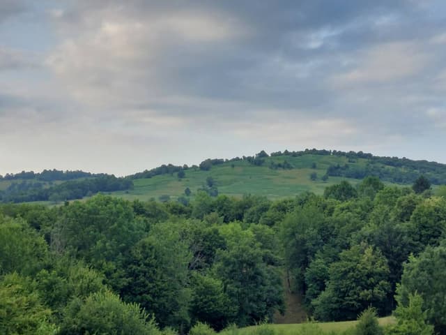 Foto av Miran F. om att hyra en Toyota Yaris Cross på Zagreb flygplats (25-07-03)