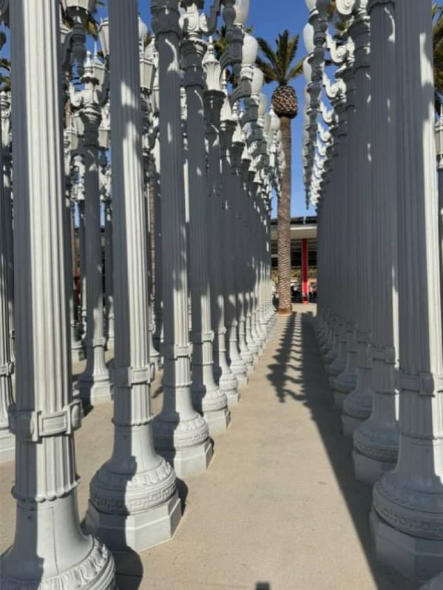 Photo 6 by Fay H. (1/27/24)