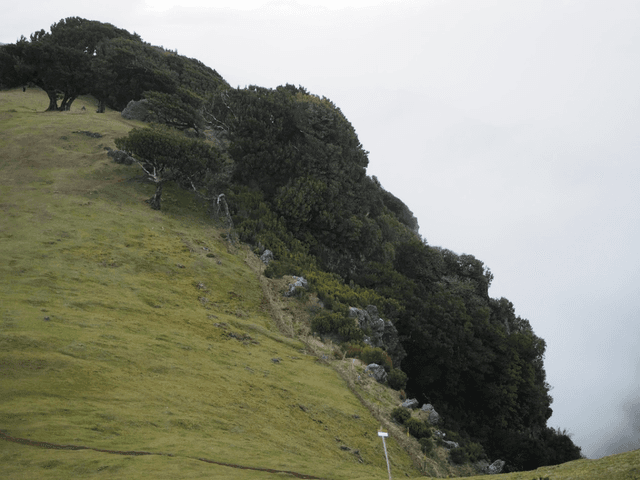 Zdjęcie 4 wykonane przez Elzbieta P. (15.02.24)