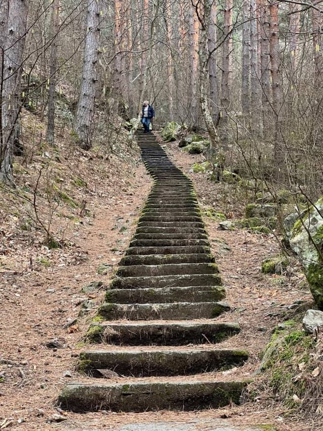 Фото 7 от Grigori G. об аренде Toyota C-HR в Софии (25.02.26)