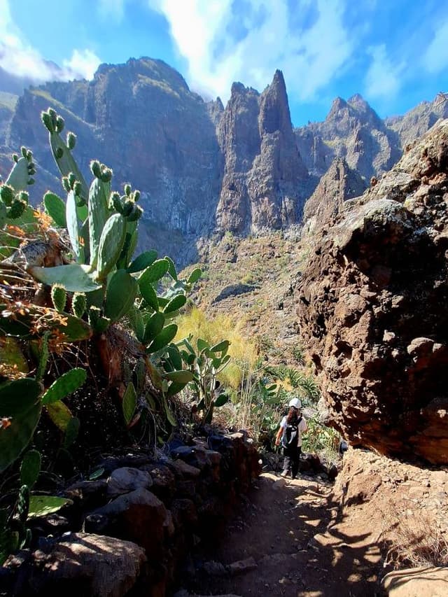 Zdjęcie 10 wykonane przez Jolanta C. (7.07.24)