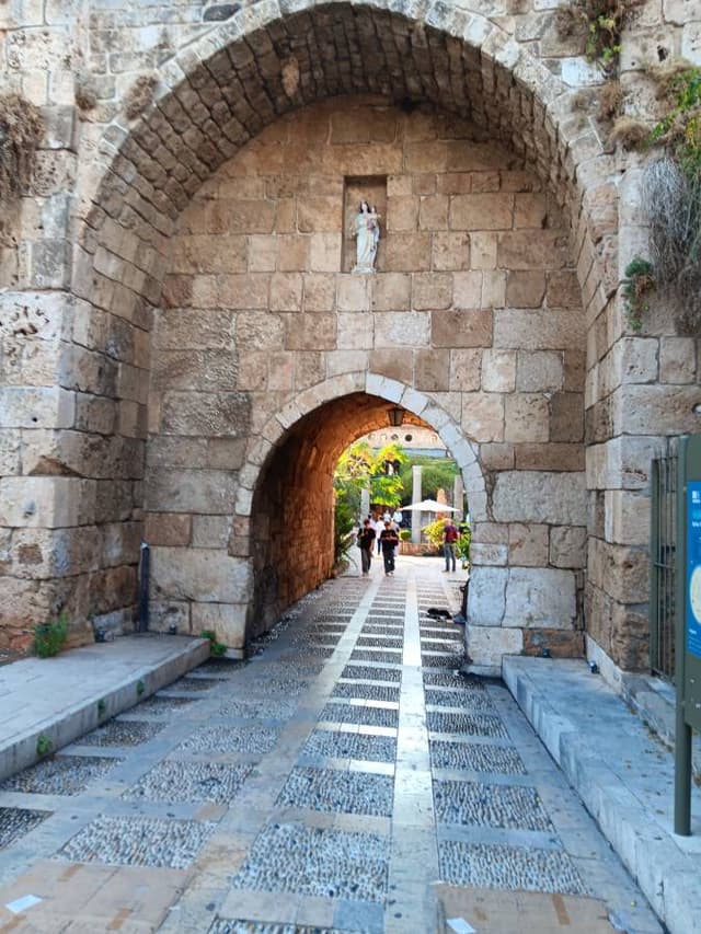 Photo 4 by Hussein B. (10/29/25)