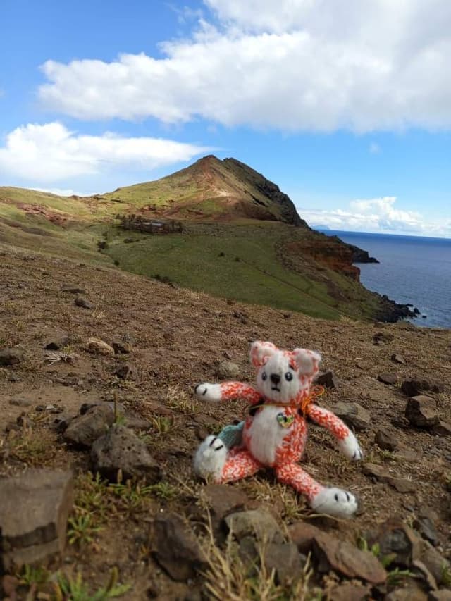 Zdjęcie 21 wykonane przez Justyna B. (1.04.26)