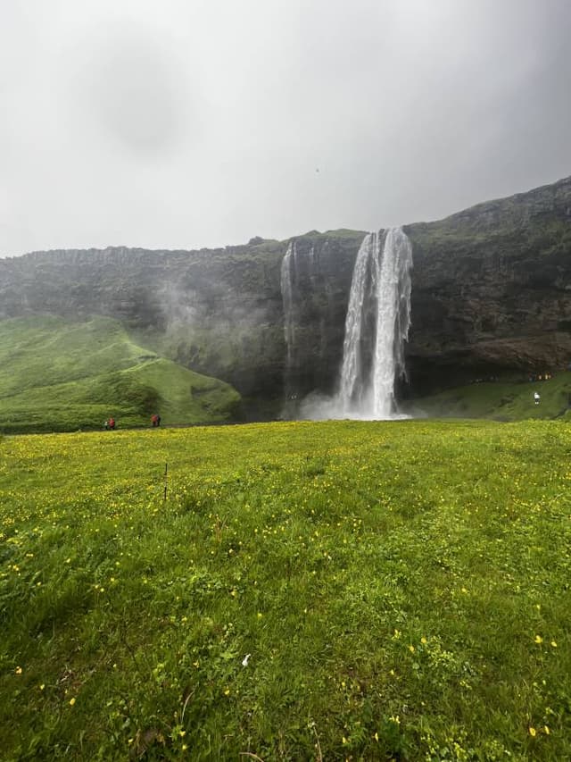 Photo 3 by Tanya G. about renting a Peugeot 2008 in Iceland (6/26/23)