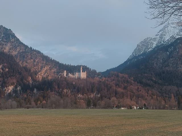 Gabor Tibor T. 8. számú fényképe (26. 03. 25.)