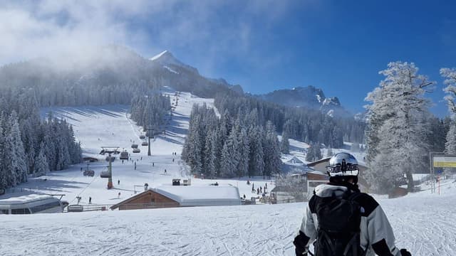 Photo by David S. about hiring a Audi Q3 in Germany (16.04.25)