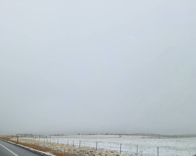 Photo 5 by min T. about renting a Kia Seltos at Denver Airport (9/29/24)