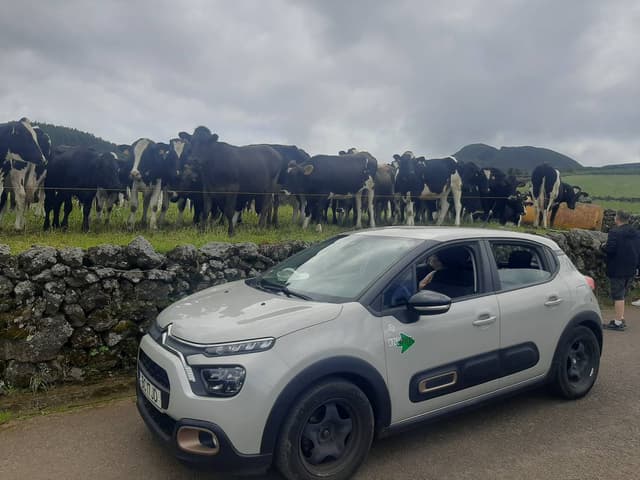 Photo 4 by Joaquim S. about renting a Citroen C3 in Angra do Heroismo (6/25/24)
