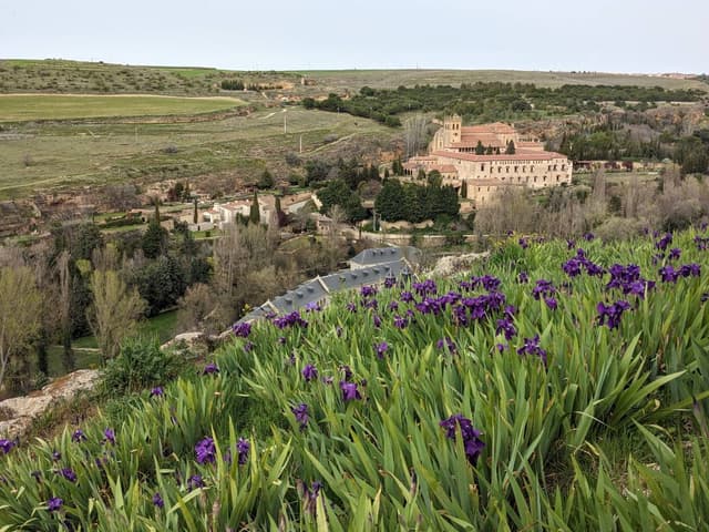 Фото 7 от Alexey A. об аренде Volkswagen Taigo в Мадриде (03.04.24)
