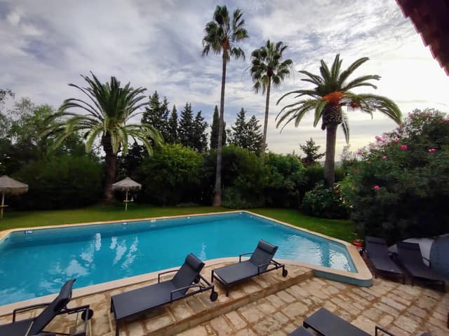 Foto 3 van Theo W. (21-10-23)