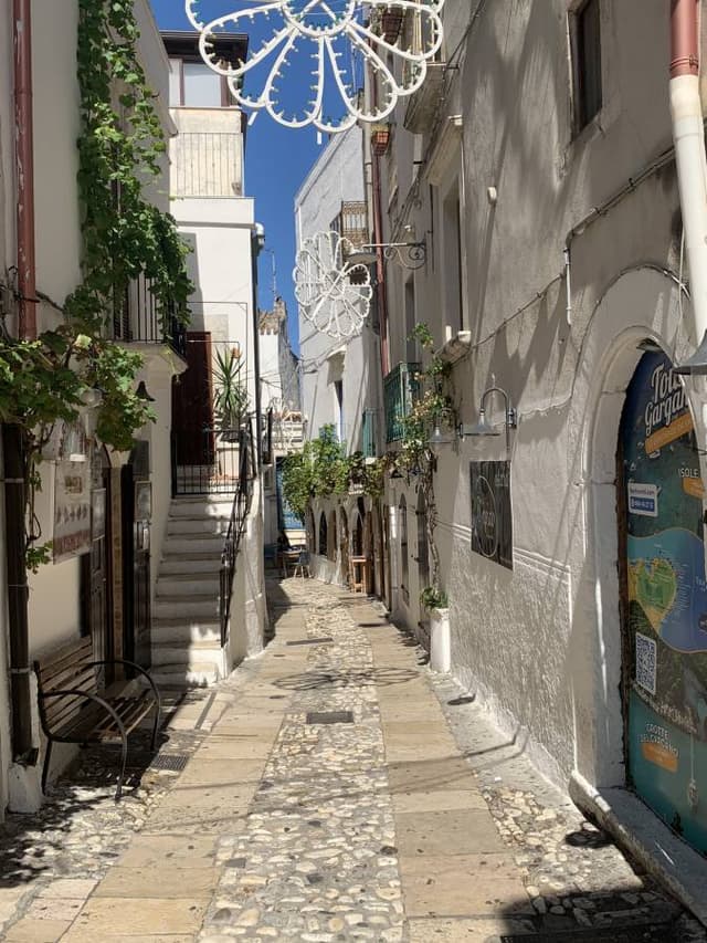 Photo 4 by Adrian G. about renting a Fiat 500 in Bari (9/29/25)