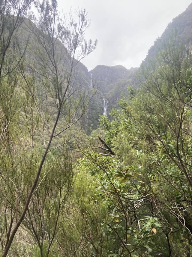 Foto 7 de Luis Filipe R. (13/04/26)