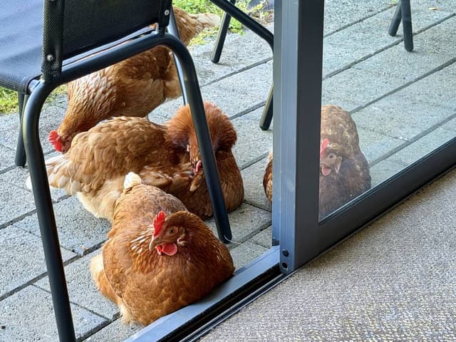 Photo 12 by Jacqueline R. (2/21/26)