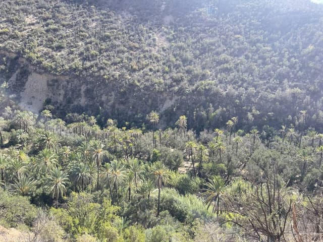 Photo 6 par Dominique W. (06/11/24)